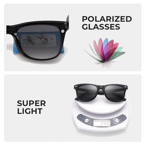 Magnetic Absorption Polarizing Glasses